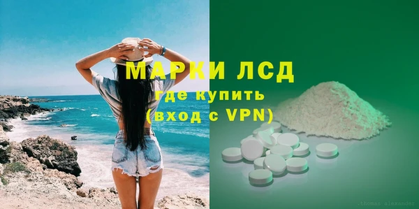сатива Ельня