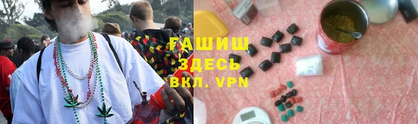 сатива Ельня
