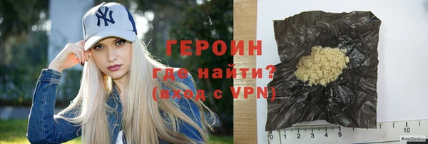 сатива Ельня