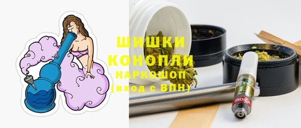 тгк Болотное