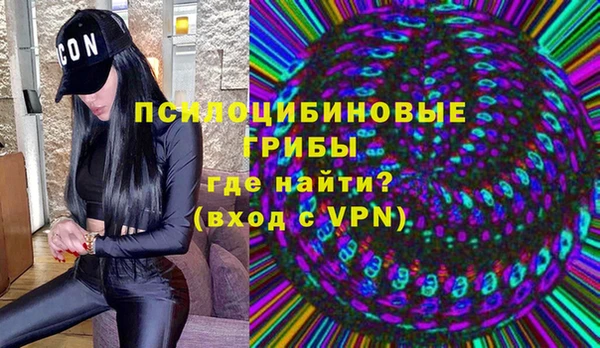 спайс Елизово