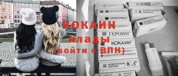 спайс Елизово