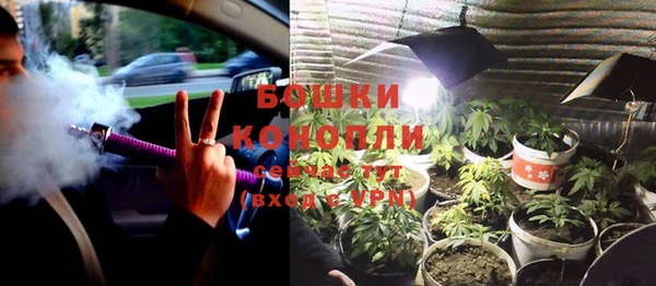 тгк Болотное