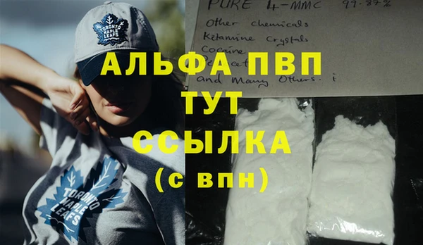 сатива Ельня