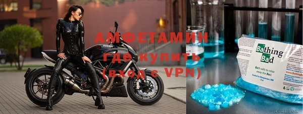 сатива Ельня
