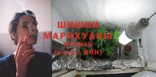 сатива Ельня